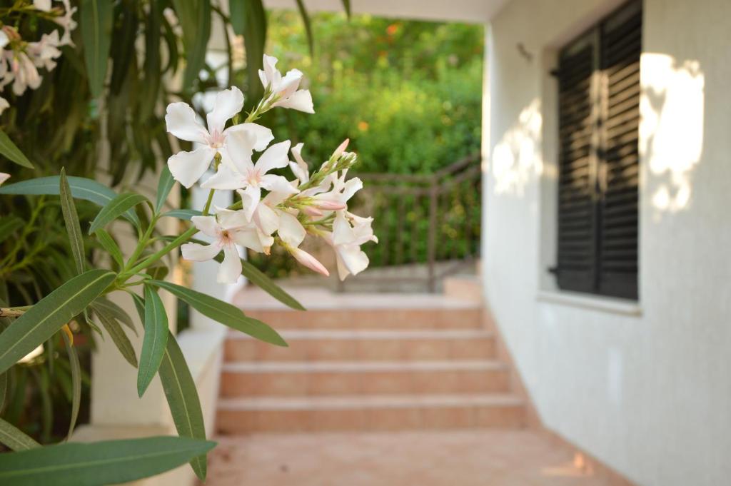 Holiday House Maja photo 4
