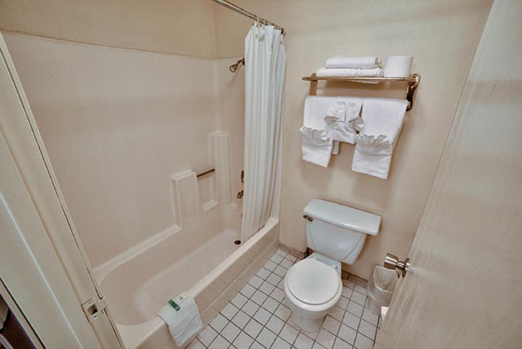 Двухместный (Номер Делюкс с 1 кроватью размера «king-size»), Hotel Galaxy
