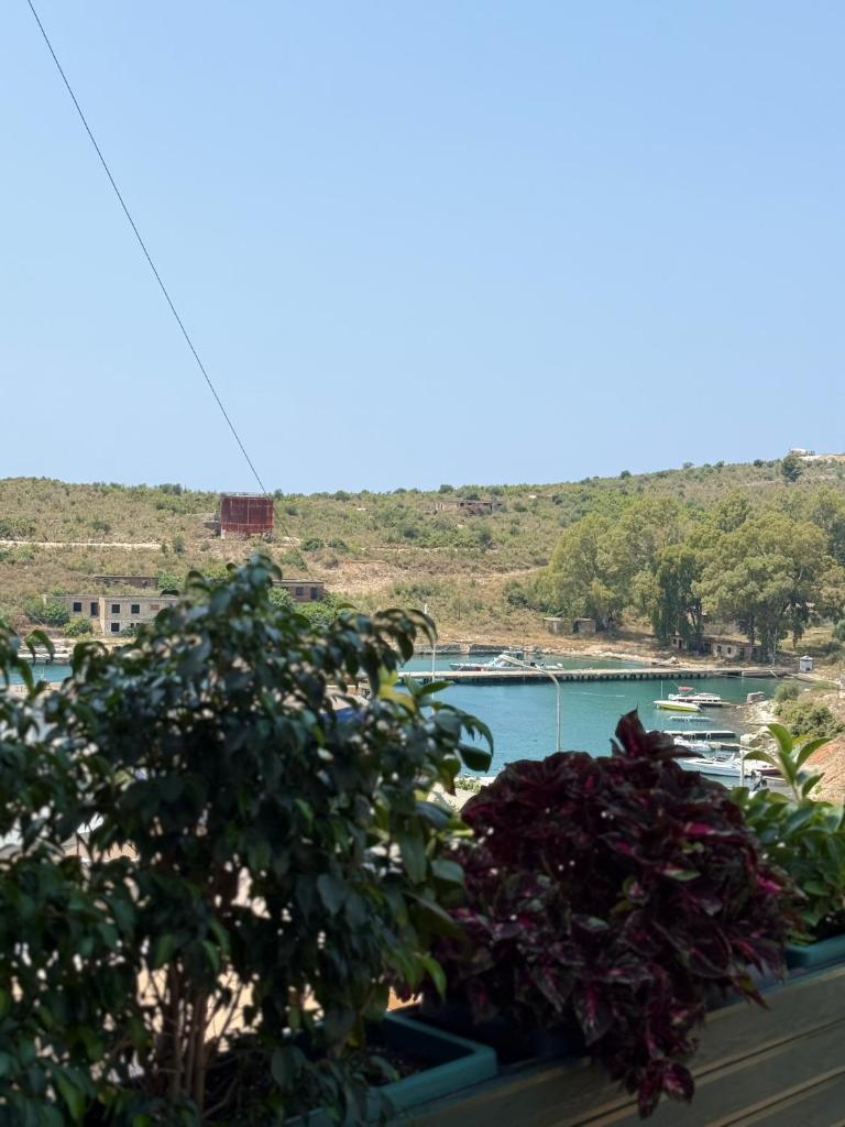 Del Mare photo 1
