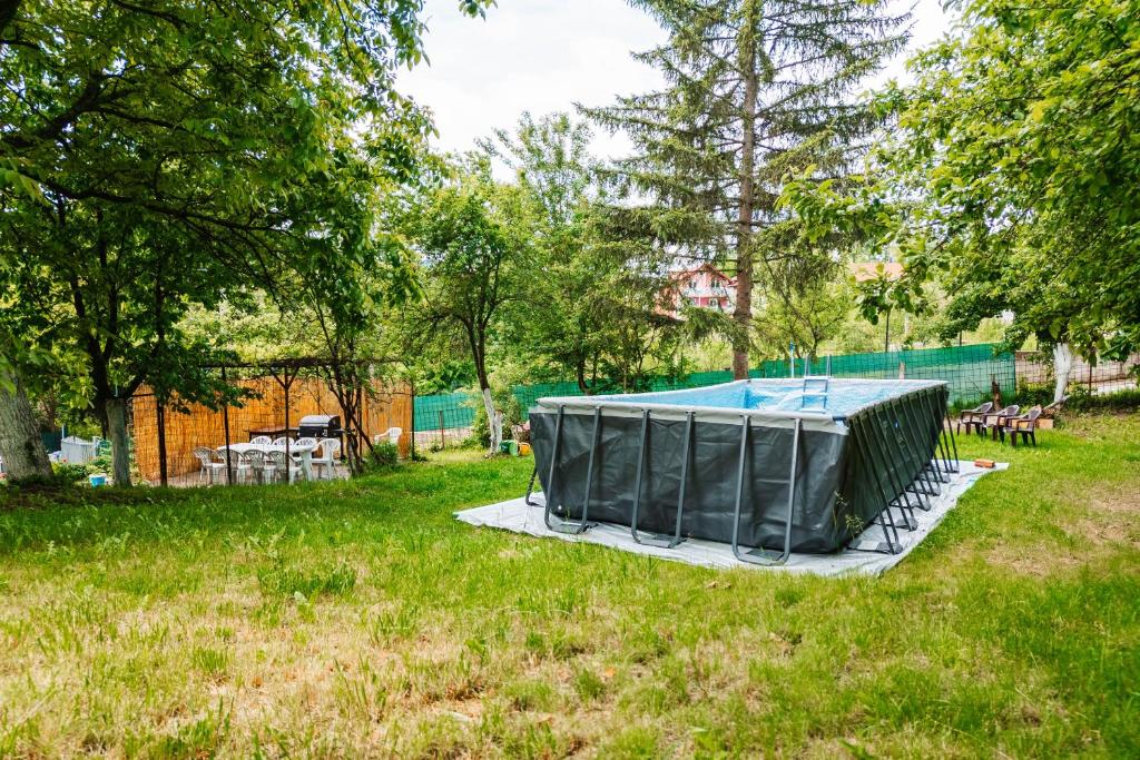 Villa Nora Natur photo 3