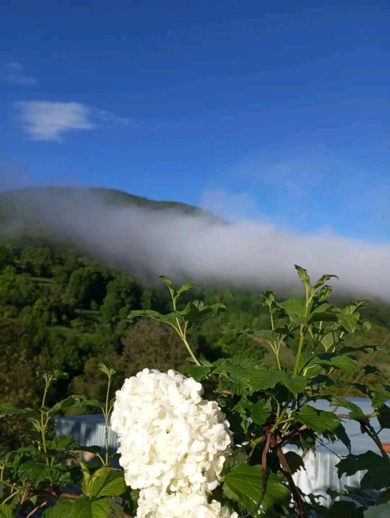 Arabachyan guest house photo 3