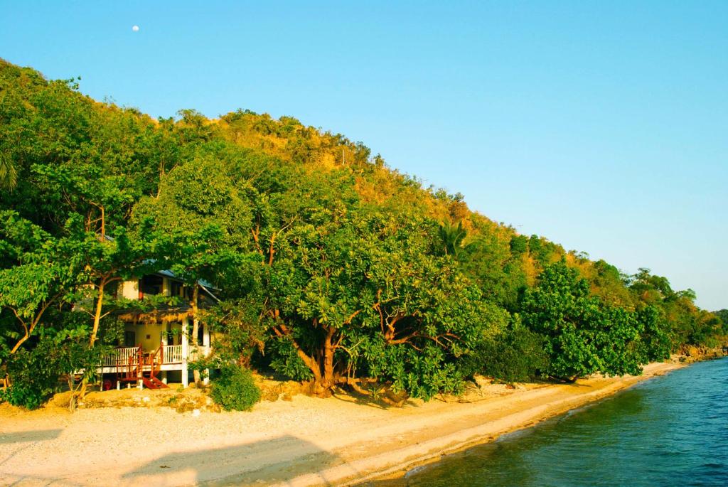 Alam Indah Busuanga Beach and Villas photo 4