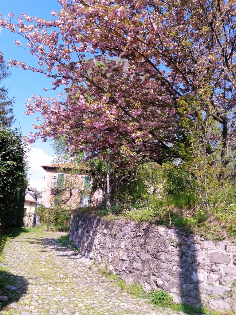 La Cà del Menèc photo 4