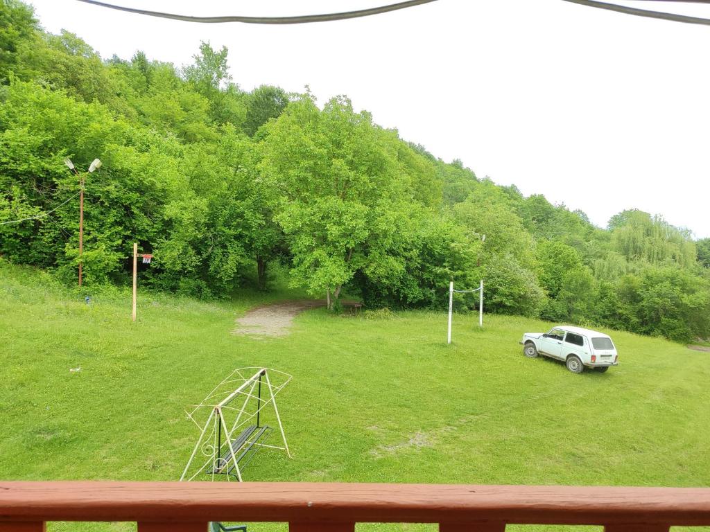 Güney Meşə photo 1