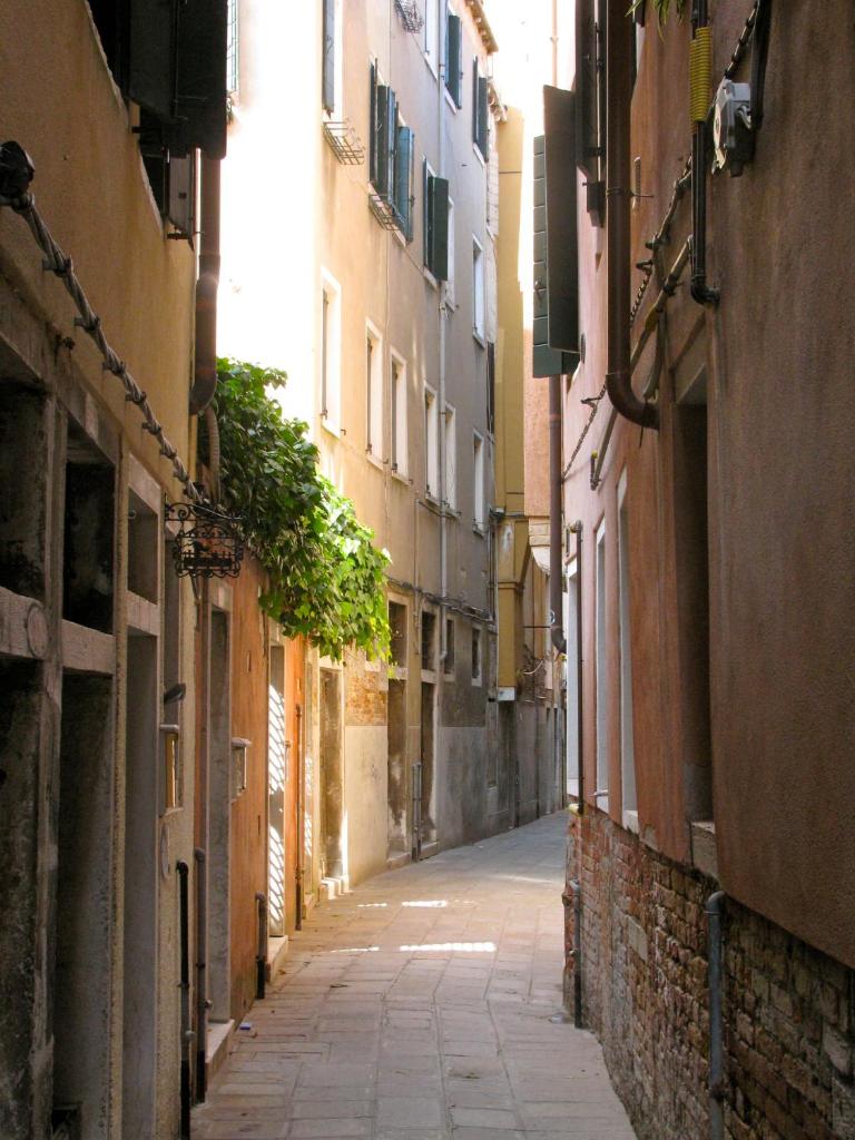 la levantina photo 1