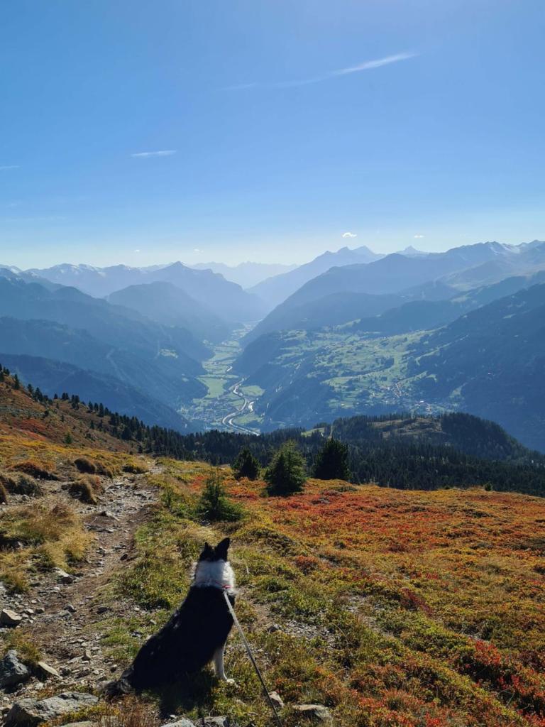 Haus Heidrun