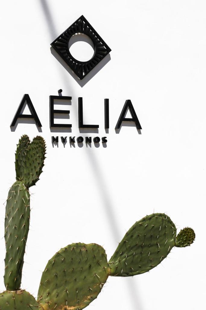 Aelia Mykonos photo 3