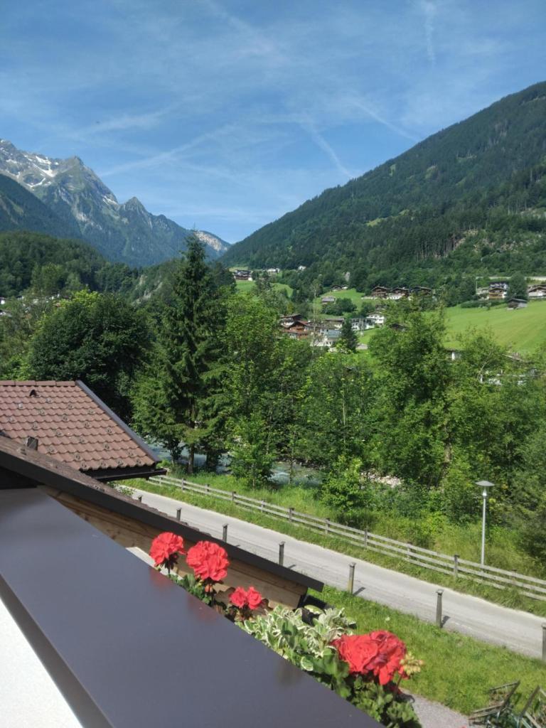Landhaus Bliem photo 1