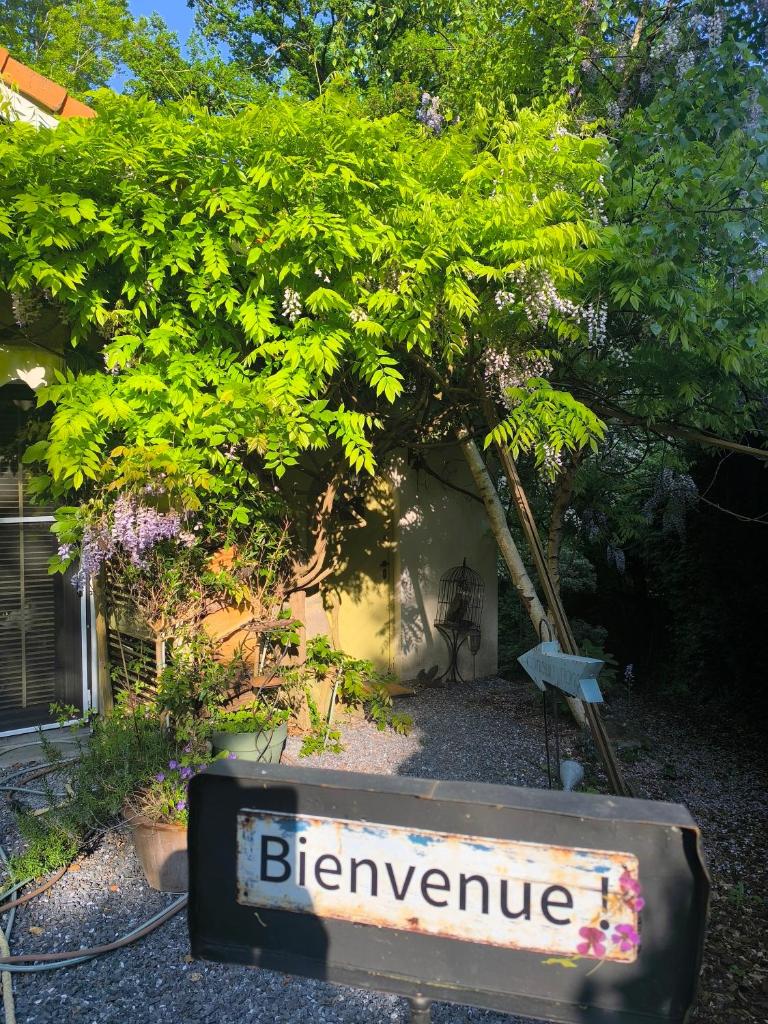 Studio autonome magnifique TB situé Chaumont-Gistoux photo 2