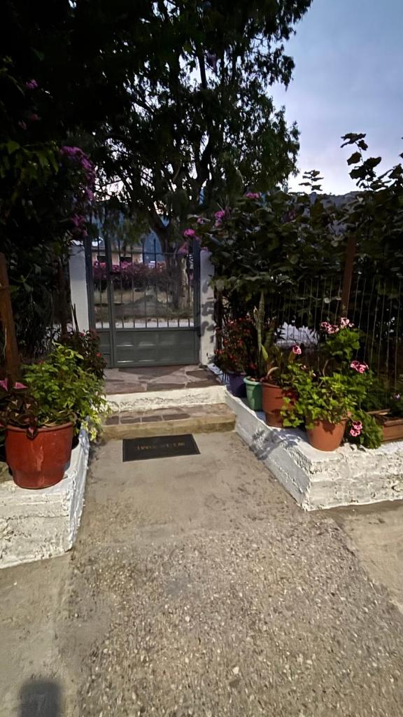 Borsh Selavi Guest House photo 3