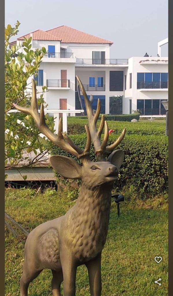 Crown Euro Inn Hotel and Resort photo 1
