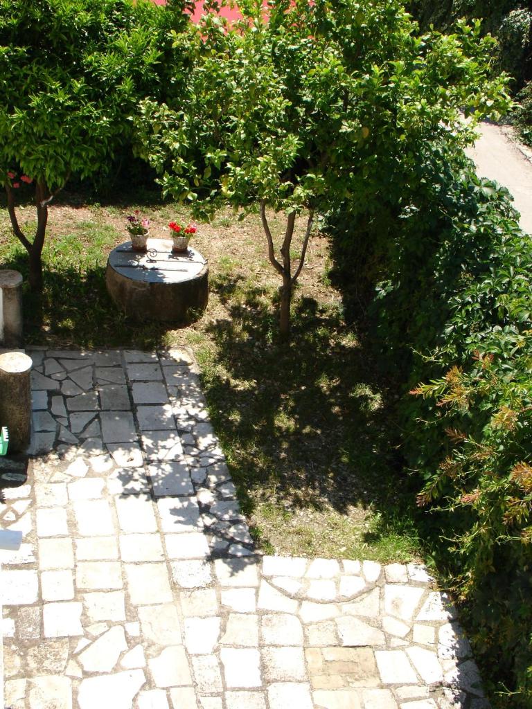 Lena Blue Sea Apartments photo 4