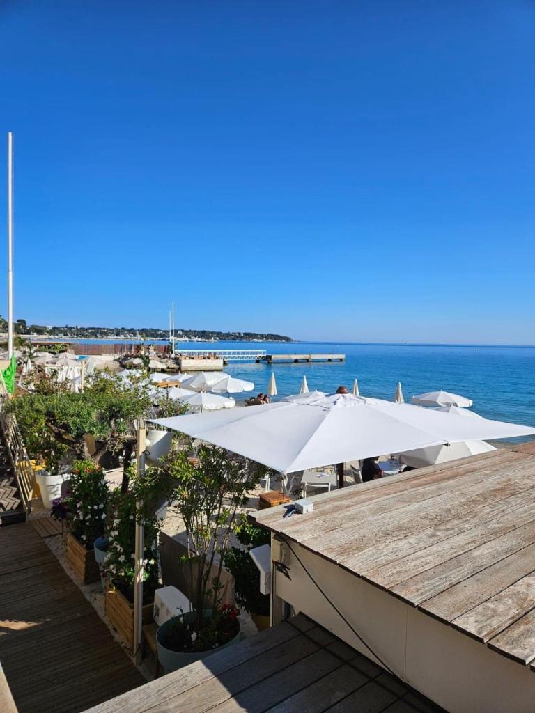 Juan-les-Pins 2-room apartment - Tap to explore photos
