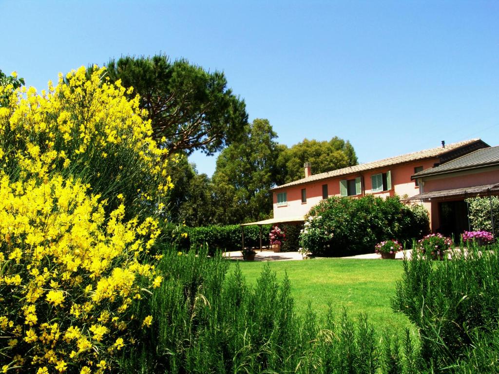 Agriturismo Fattoria Il Casalone photo 3