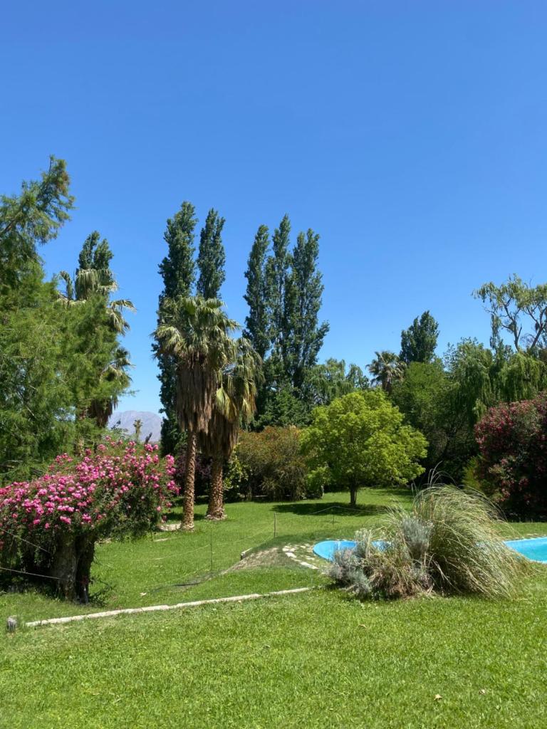 Pircas de Puyuta photo 3
