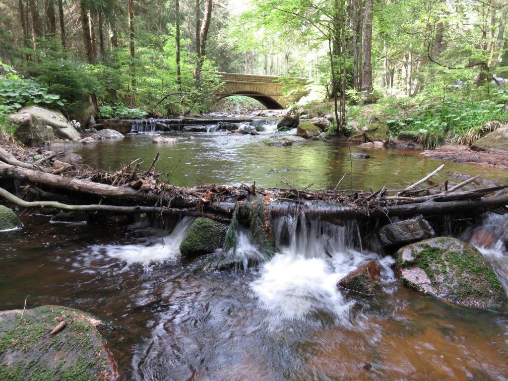 FeWo Kruse am Wurmberg photo 1