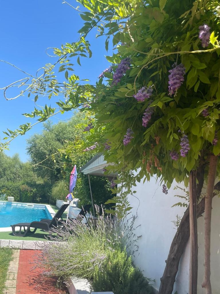 Kuca Magnolia Blagaj photo 4