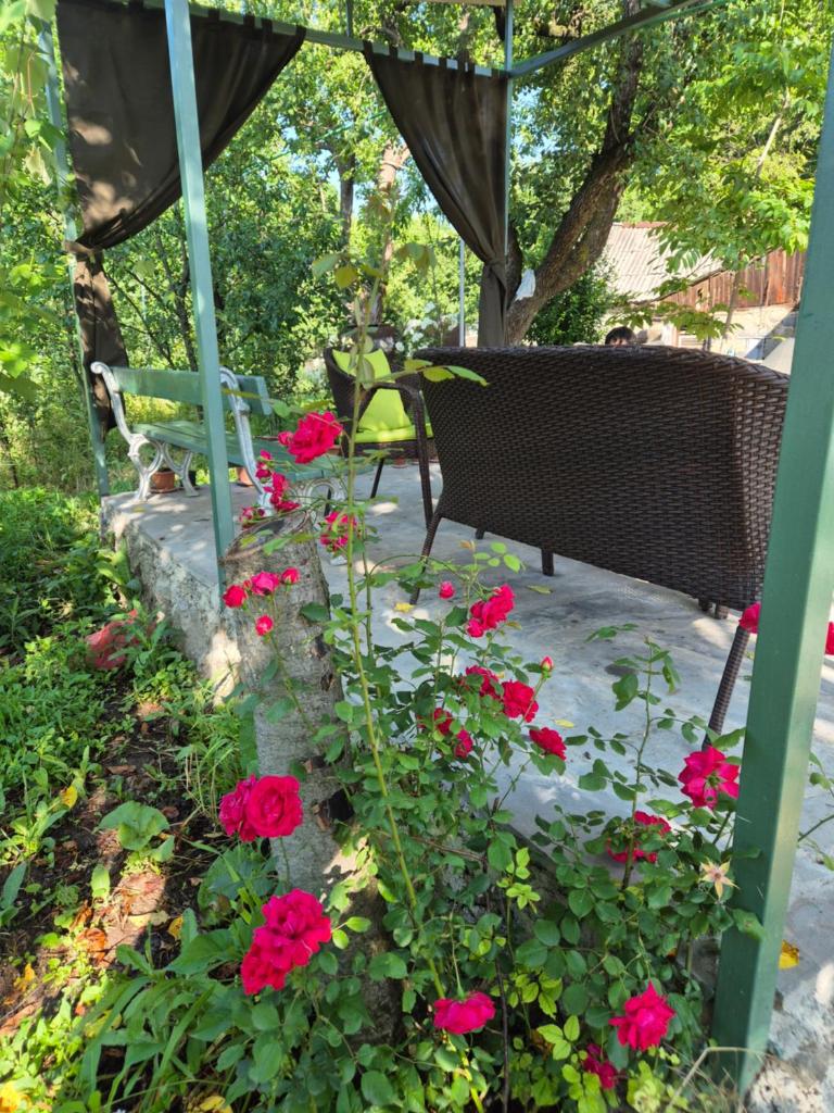 Mush Guest House in Sanahin photo 1