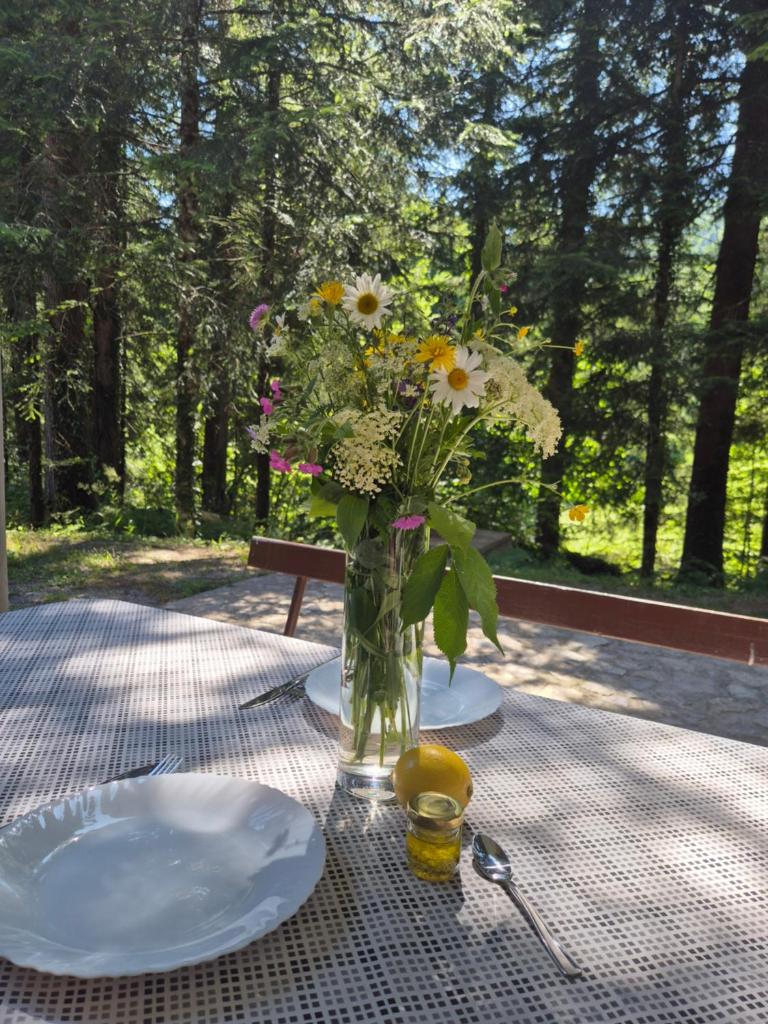 Kuća za odmor Carpe Diem photo 3