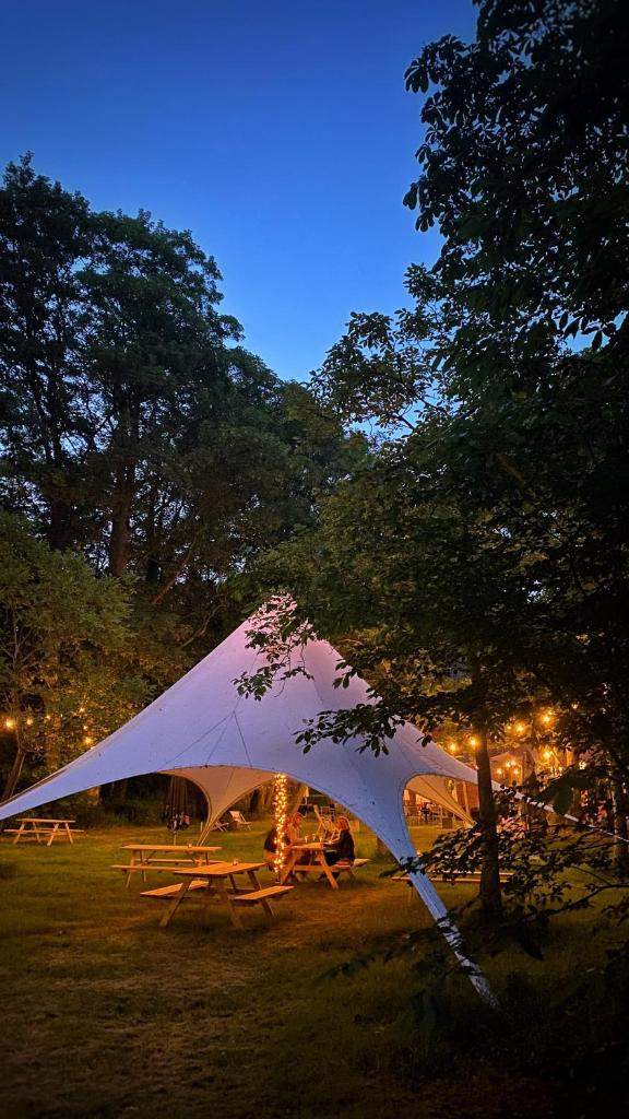SENSI - glampingtenten midden in de bossen photo 2