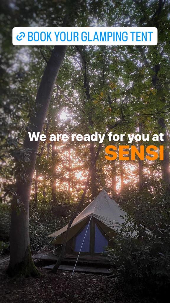 SENSI - glampingtenten midden in de bossen photo 3