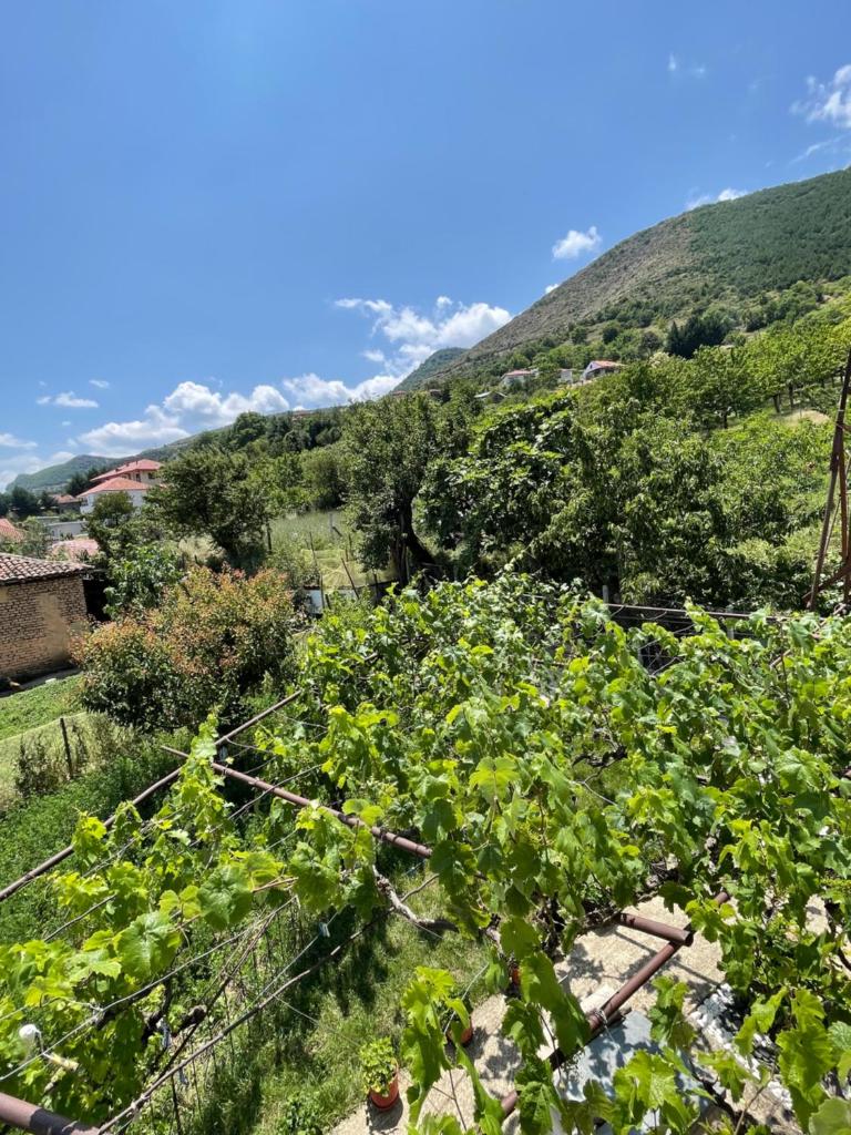 Villa Vista Lago photo 4