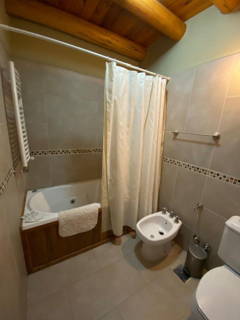 Lodge Copahue Expeditions photo 1