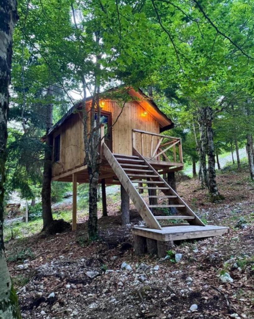 Forest View Villas & Treehouses