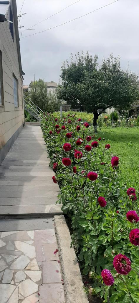 Guest House Chkalovka Garden photo 3