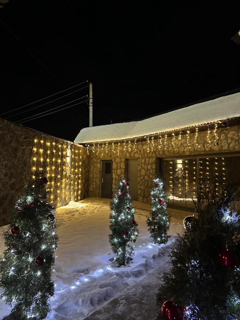 Skyview Guesthouse Aragats photo 2