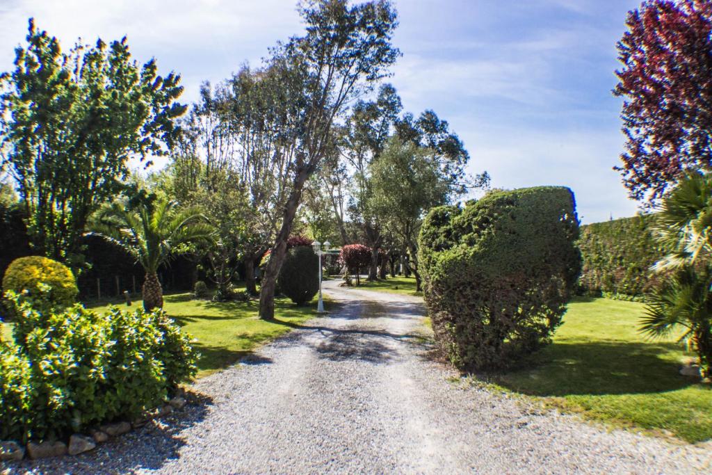 Villa Yoda photo 2