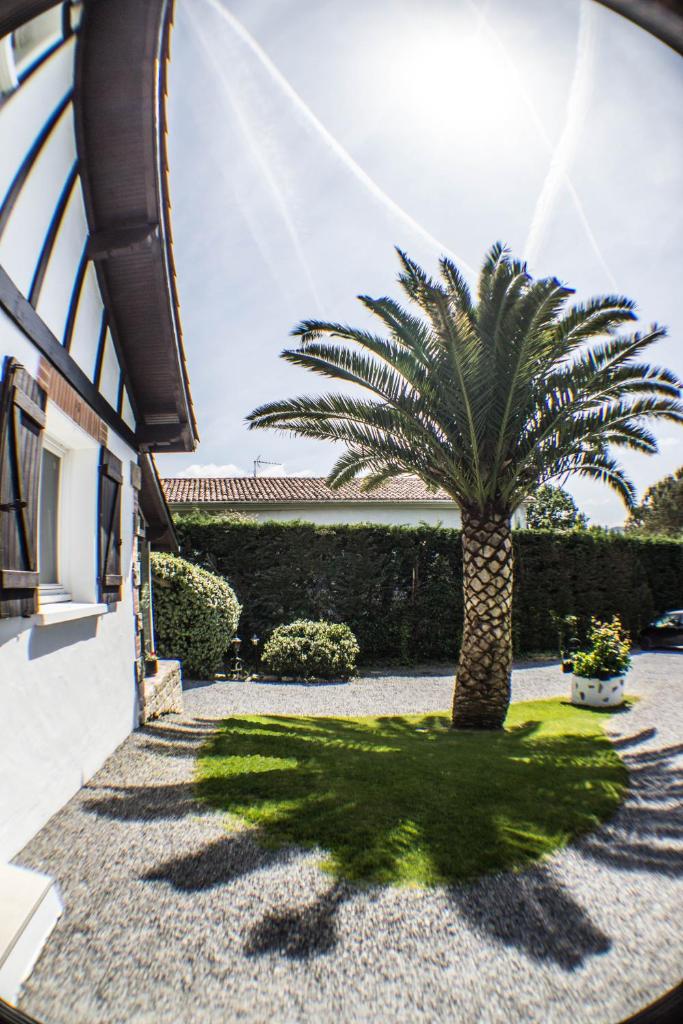 Villa Yoda photo 3