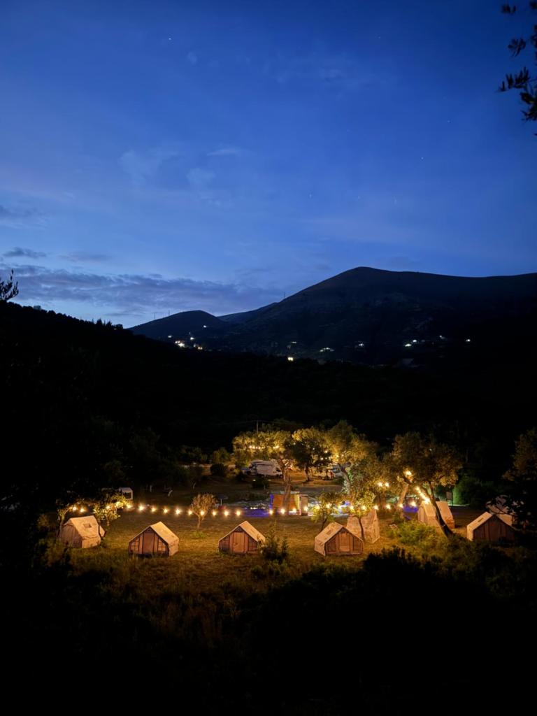 Camping Parknight Tents photo 1