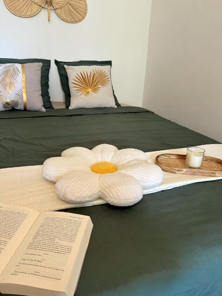 Studio cosy - Le cerisier, Valence