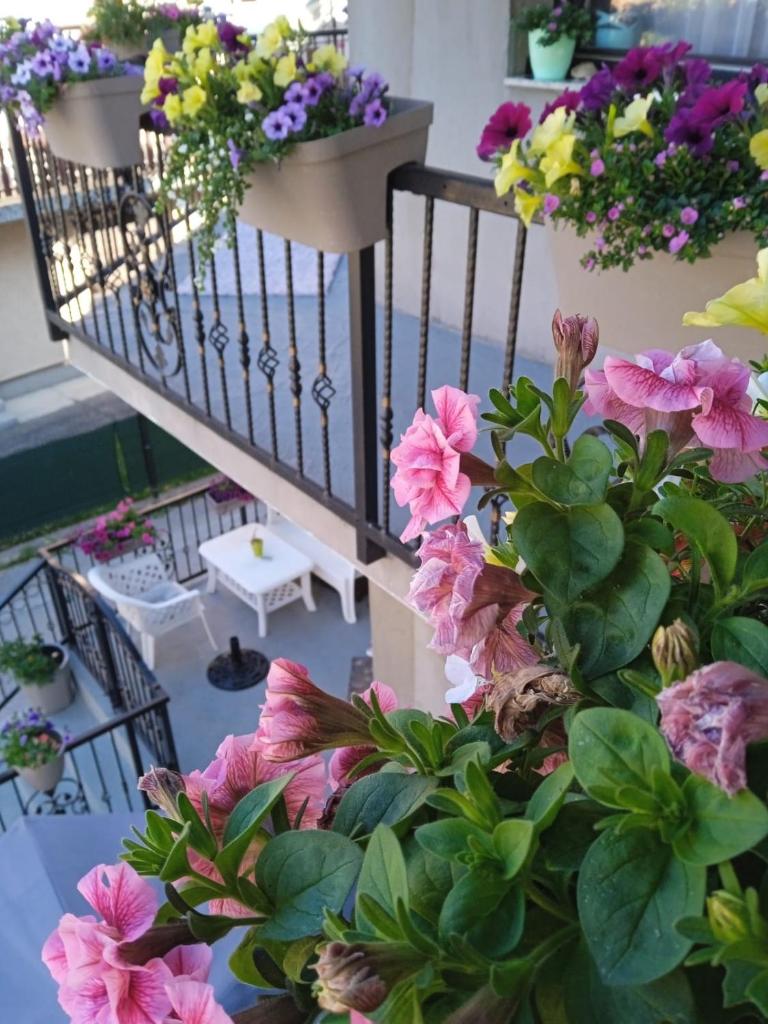 Apartman Odmor Fojnica