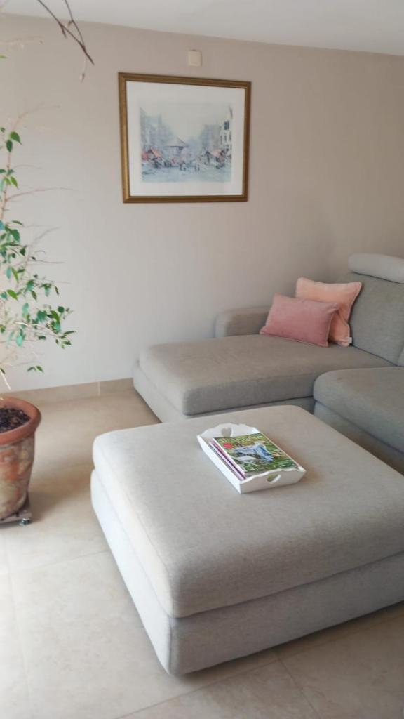 Chez Paulette photo 1