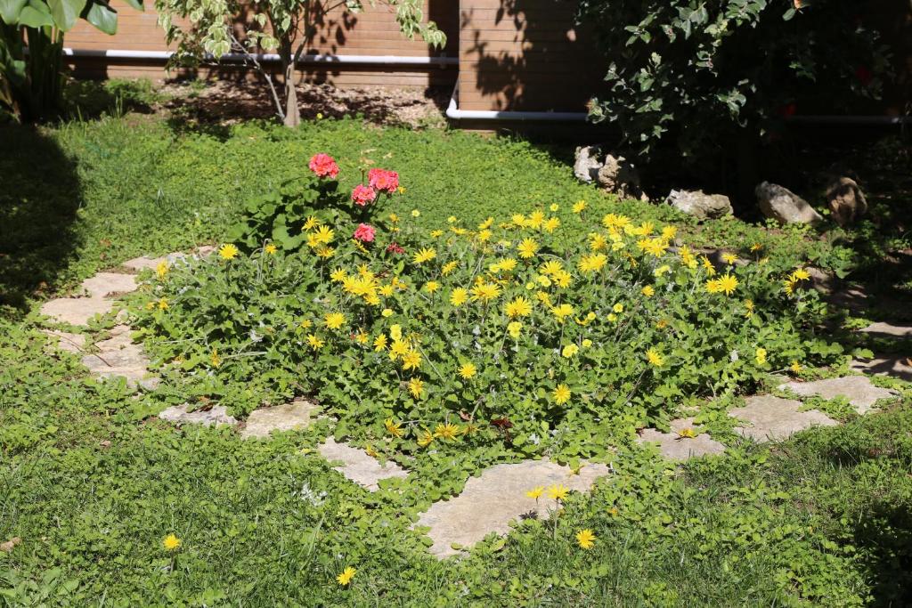 Virò House photo 4