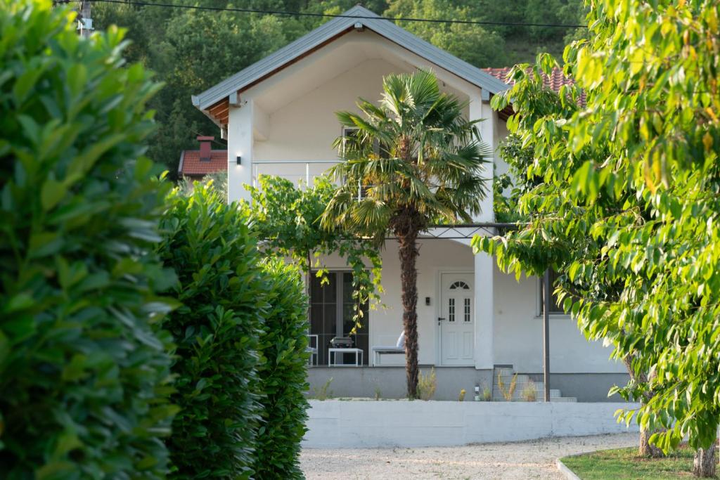 Old Vineyard Estate photo 3
