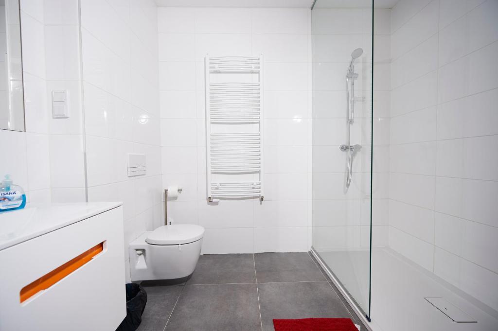 Апартаменты (Апартаменты-студио), Apartament Cube