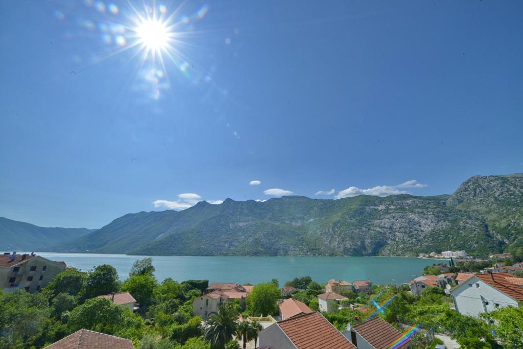 Apartments Villa Illyrik photo 4