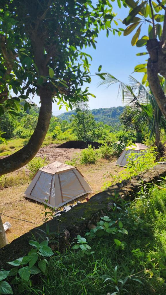Nora Natural Tent photo 3