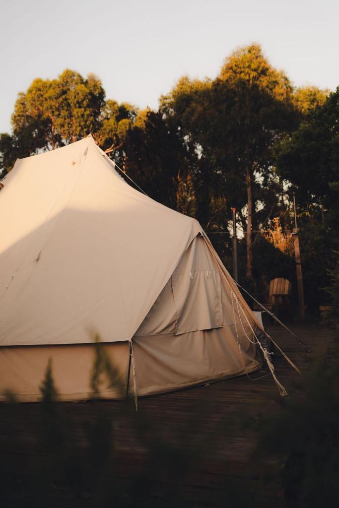 Scamander Sanctuary Holiday Park - Tap to explore photos