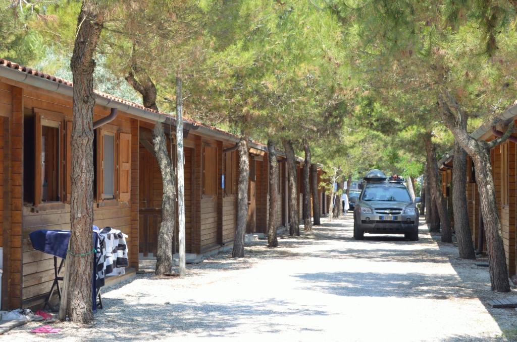 Camping La Pineta photo 1