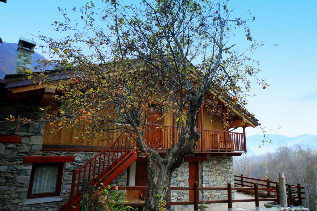Eco Chalet Maison Dominique photo 3