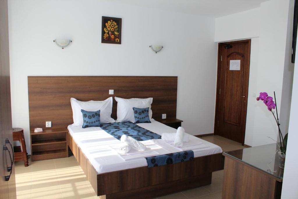 Vila Medeea photo 2