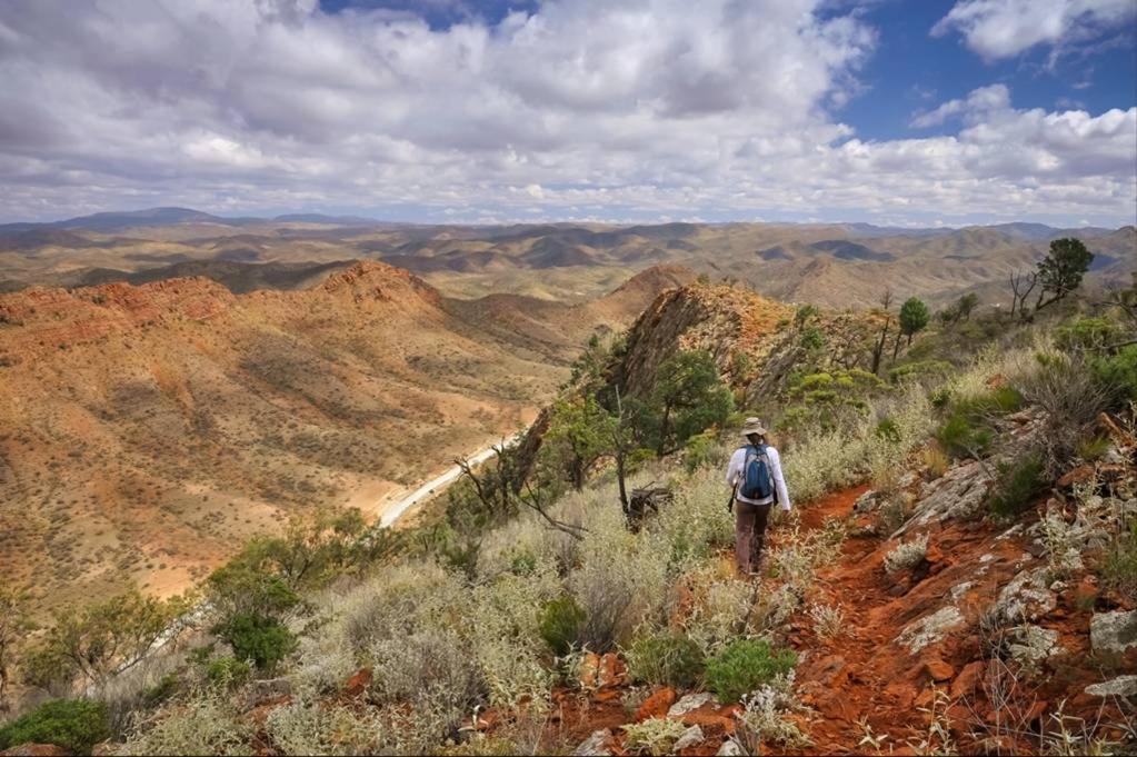 Arkaroola Wilderness Sanctuary photo 4