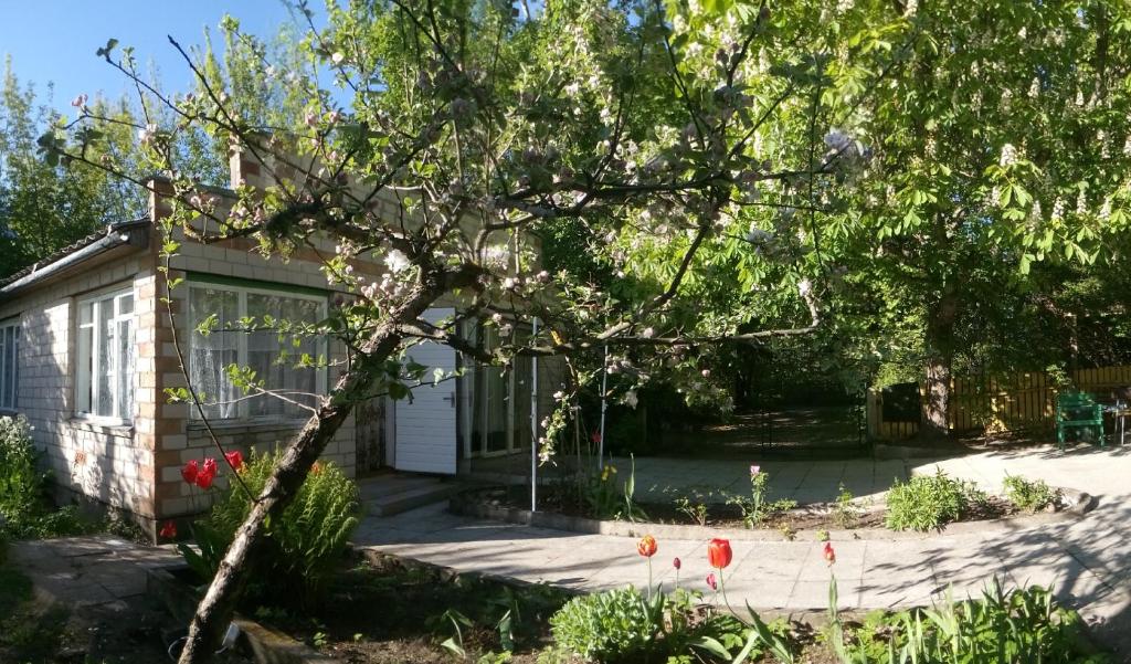 Koidula Holiday Home photo 2