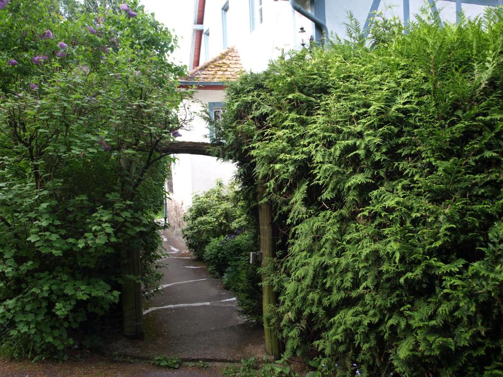 Das Alte Forsthaus photo 2