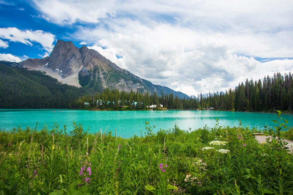 Emerald Lake Lodge photo 2