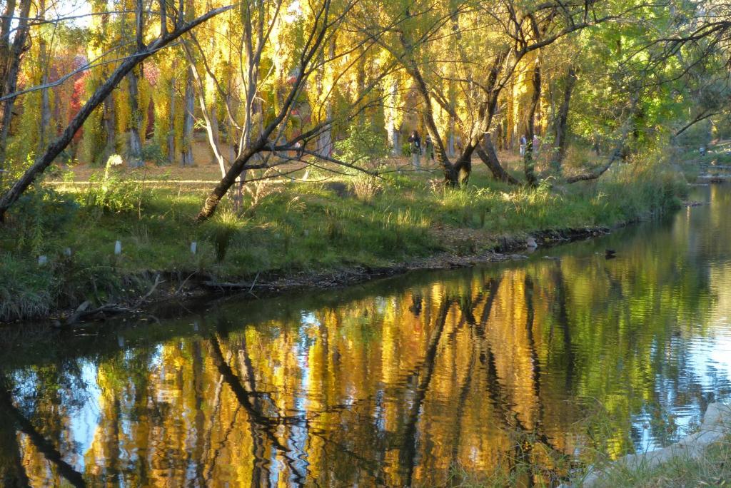 On The Banks photo 3